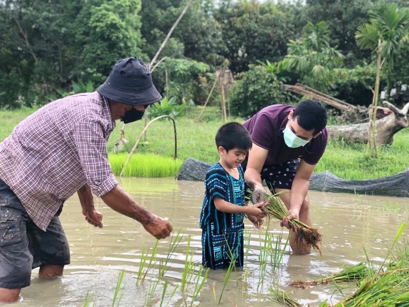 Hang Tueng Farm 2