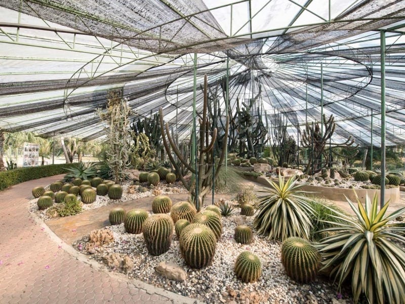 Tweechol Botanic Garden 12