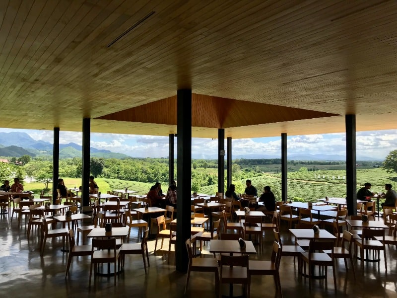 Choui Fong Tea Plantation 3