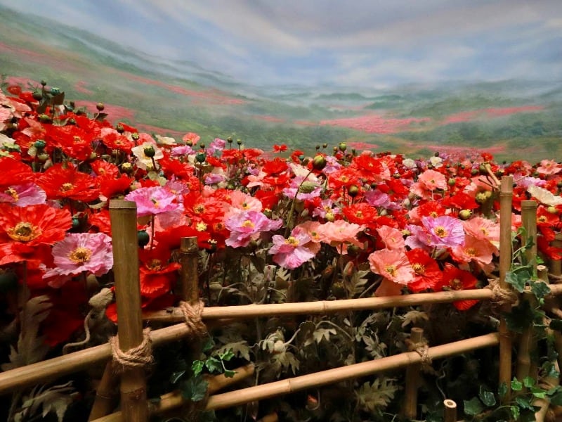 House of Opium Museum 6