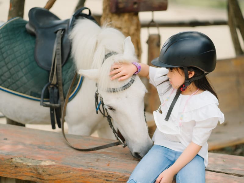 Pong Horse Park 19