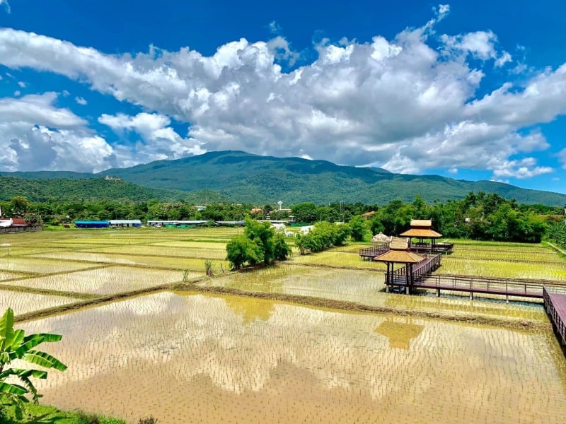 Saen Kham Terrace Restaurant 4