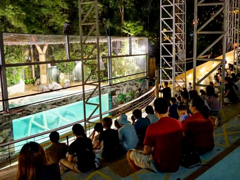 Chiang Mai Night Safari 10