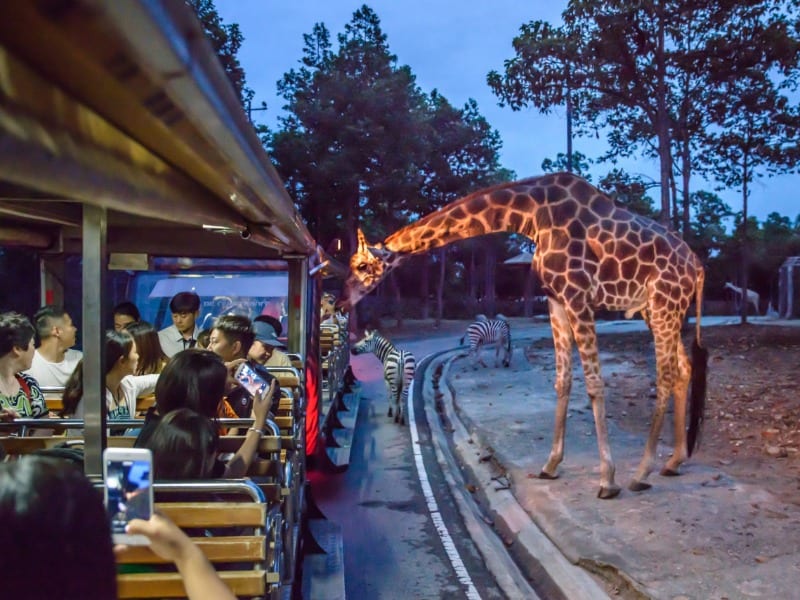 Chiang Mai Night Safari 9