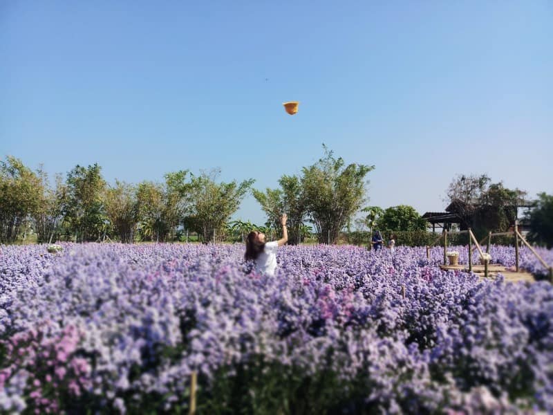 清邁景點