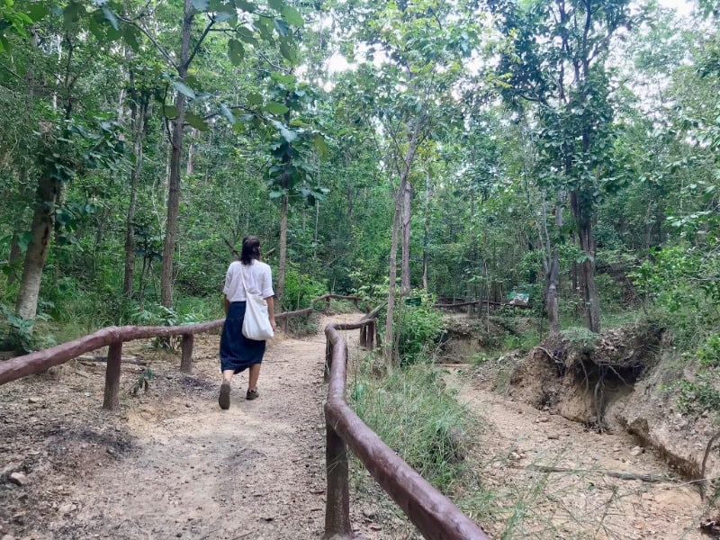 Pha Chor 5