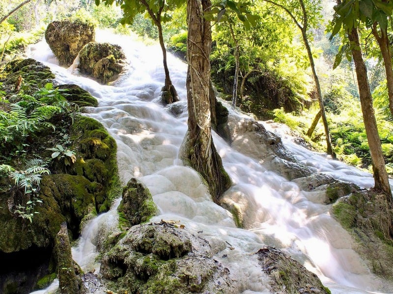 Bua Tong Waterfalls 11