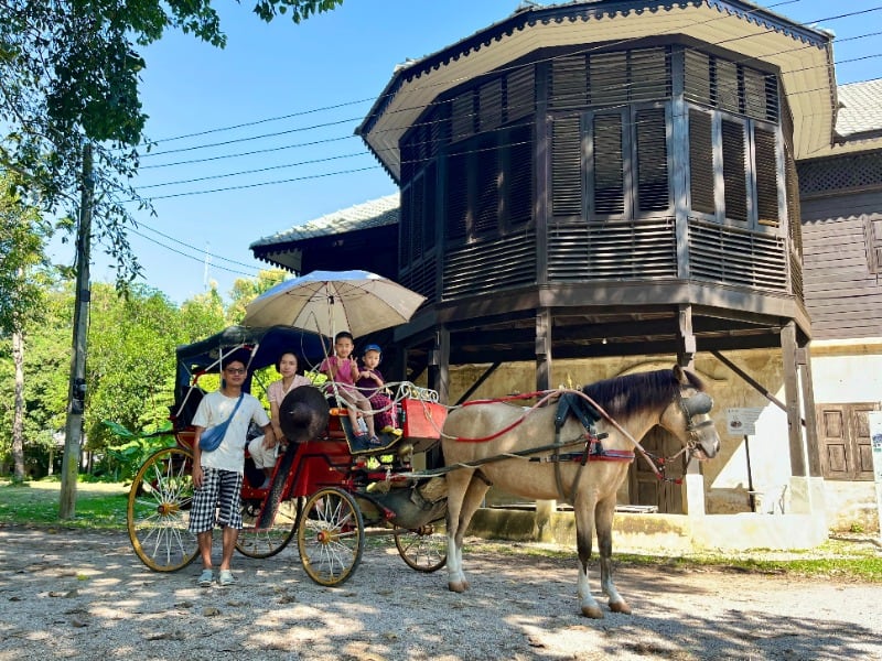 Horse Carriage in Lampang 2