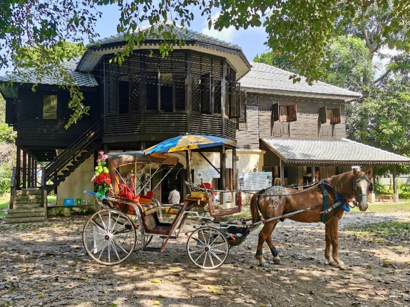 Horse Carriage in Lampang 9
