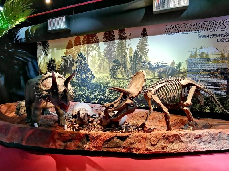 Lampang Geology Museum 1