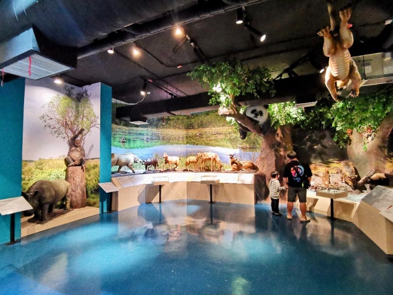 Lampang Geology Museum 4