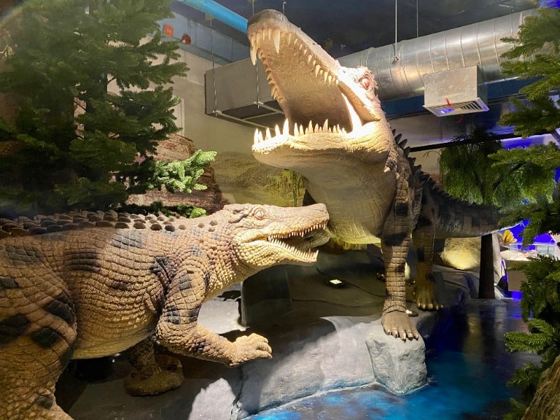 Lampang Geology Museum 5