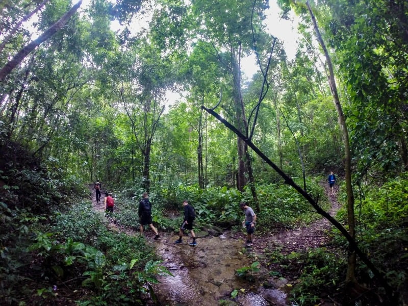 素貼山國家公園6小時健行之旅 2450銖