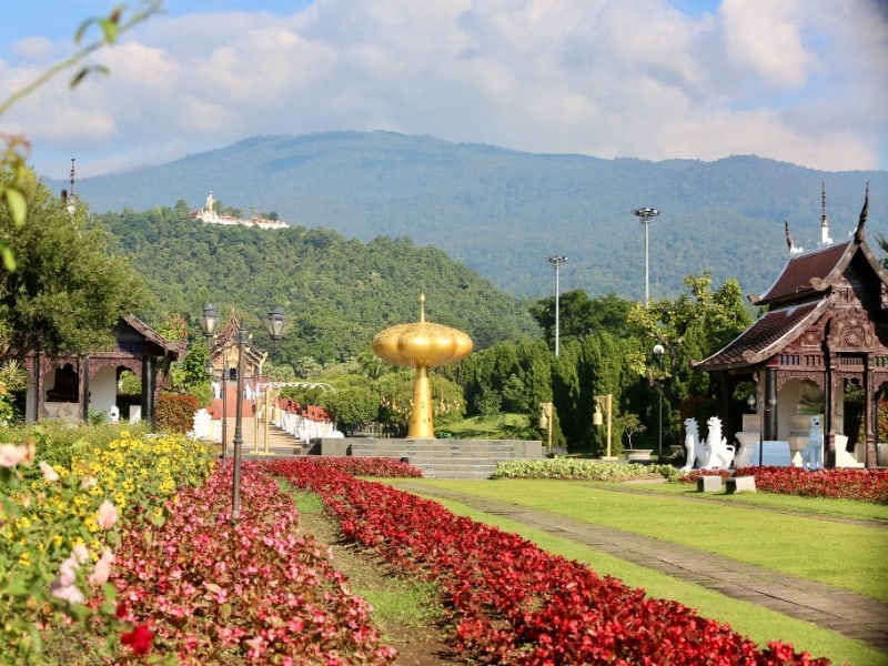 Royal Park Rajapruek 11