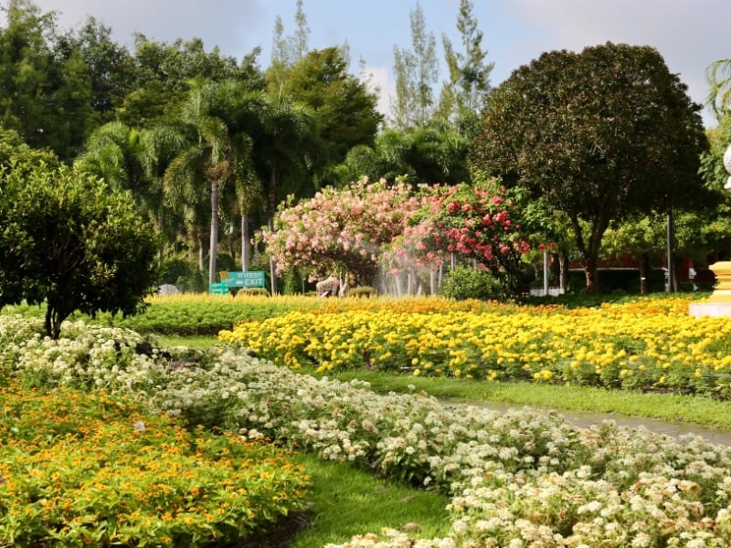 Royal Park Rajapruek 9