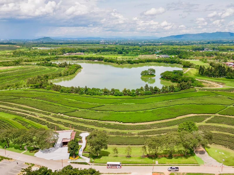 Singha Park 10