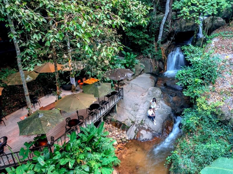 Teddu Coffee Cafe 1