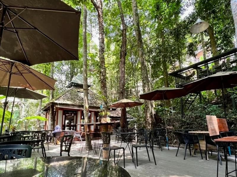 Teddu Coffee Cafe 2