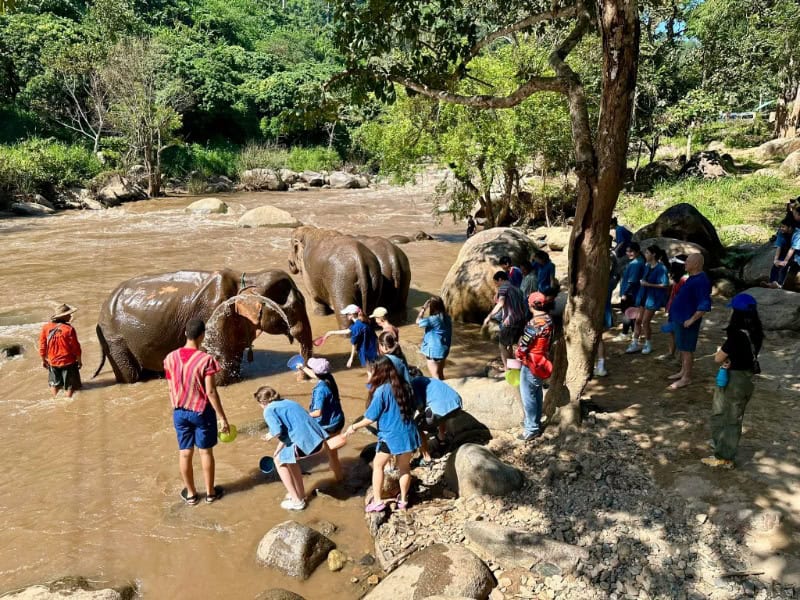 Chiang Mai Rafting & Elephant Care 3 廢氏清邁私生活 Chiang Mai Journey - 清邁大象保育+激流一日體驗