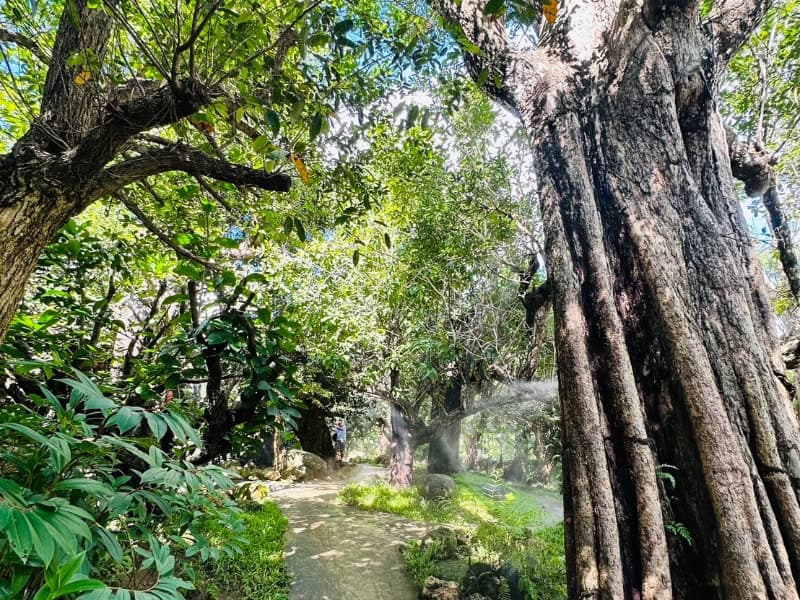 Dantewada Land of Angels Waterfall Park 17