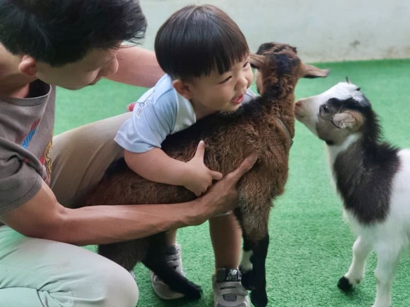Lanna Mini Zoo 11
