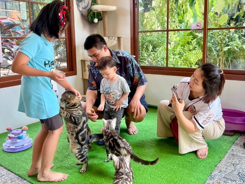 Lanna Mini Zoo 8