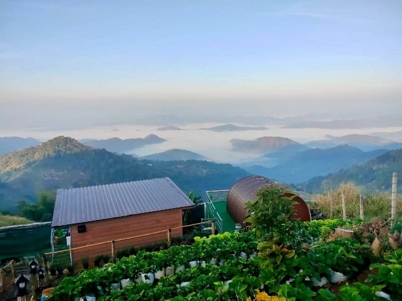 Kaewta Homestay Chiangmai 1