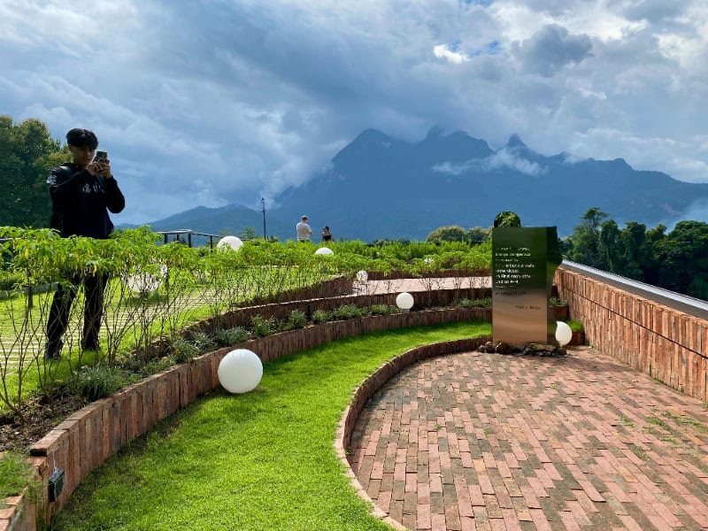TATA Chiang Dao Cafe 5
