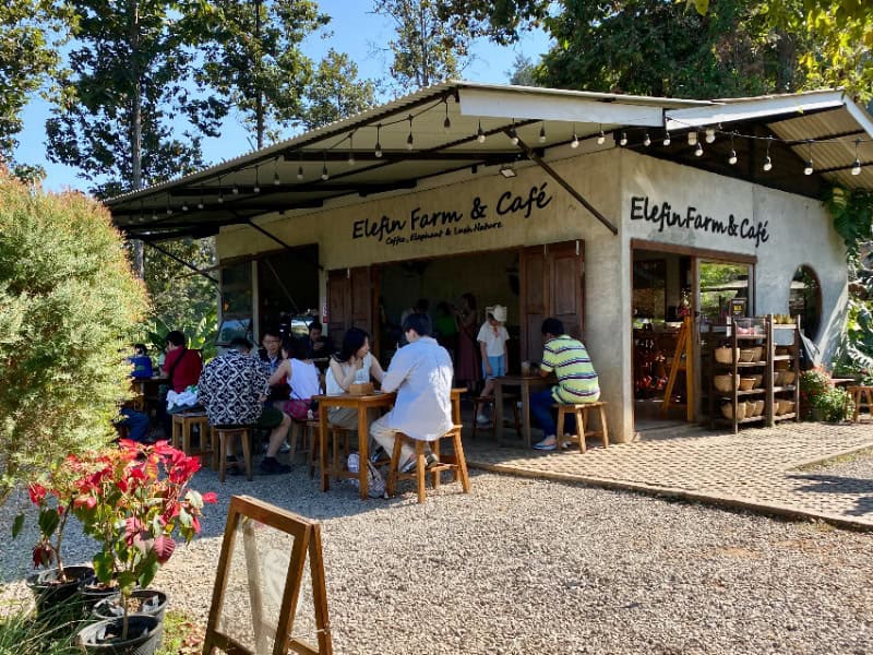 Elefin Farm & Cafe 12