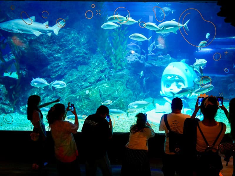 SEA LIFE Bangkok Ocean World 1