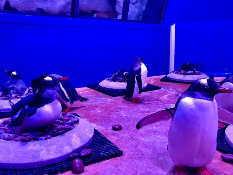 SEA LIFE Bangkok Ocean World 2