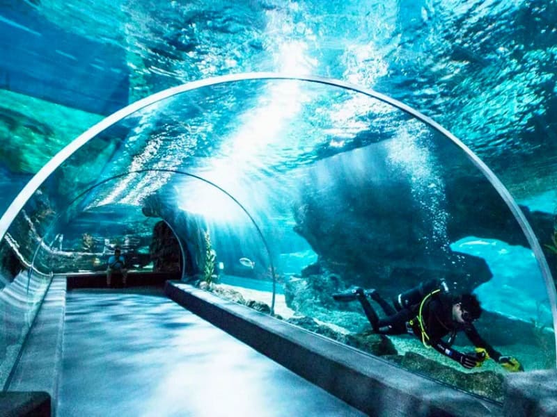 SEA LIFE Bangkok Ocean World 3