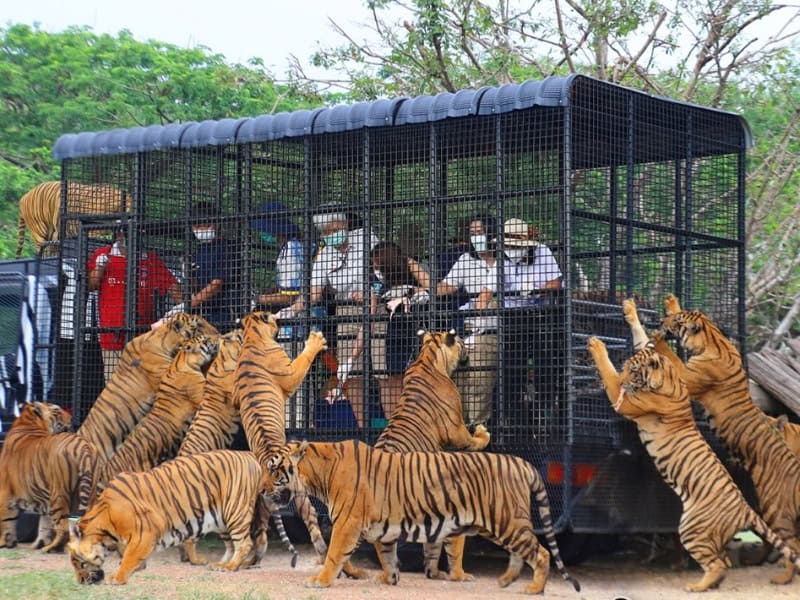 Safari World Bangkok 1