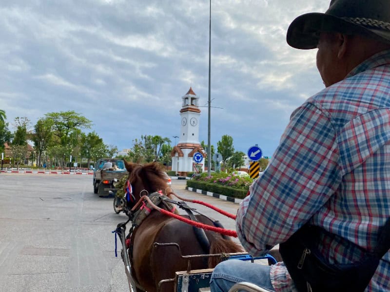 Horse Carriage in Lampang 10