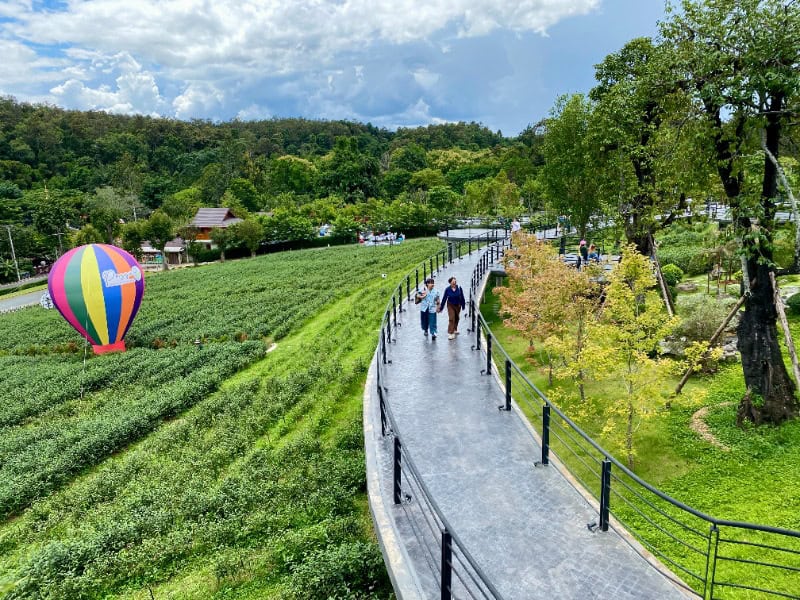 PASSA Tea Plantation at Mae On 2