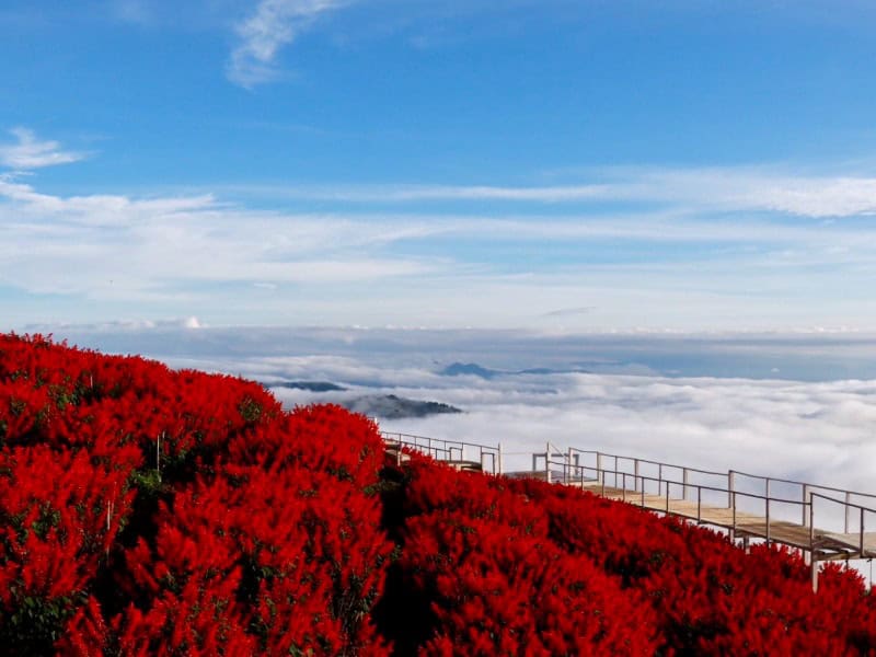蒙占山包車