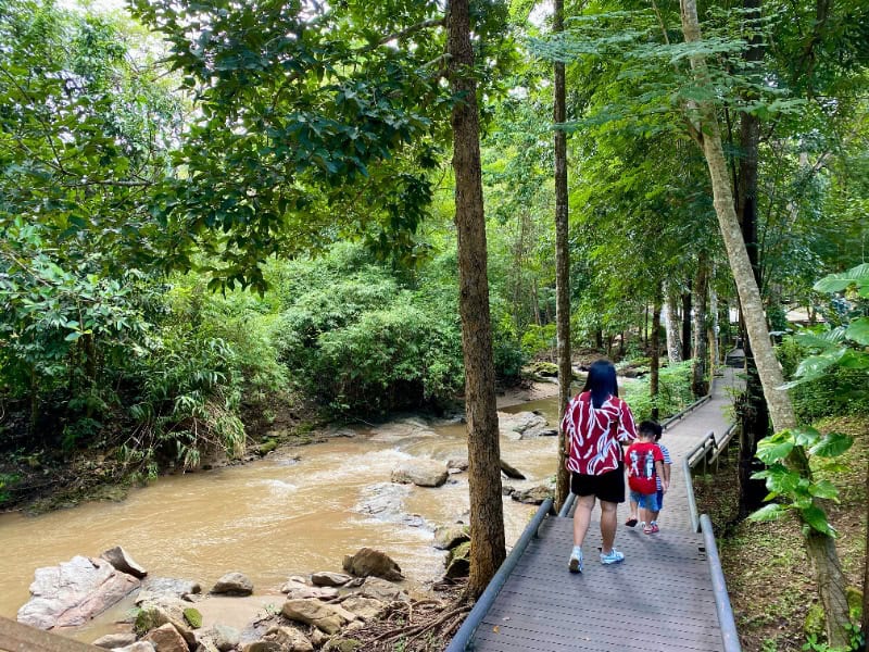 Mae Sa Waterfall 10