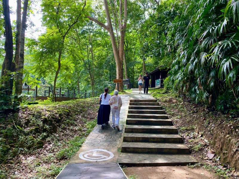 Mae Sa Waterfall 15