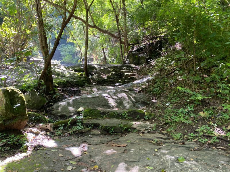 Mae Sa Waterfall 25
