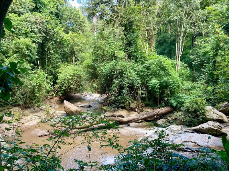 Mae Sa Waterfall 27