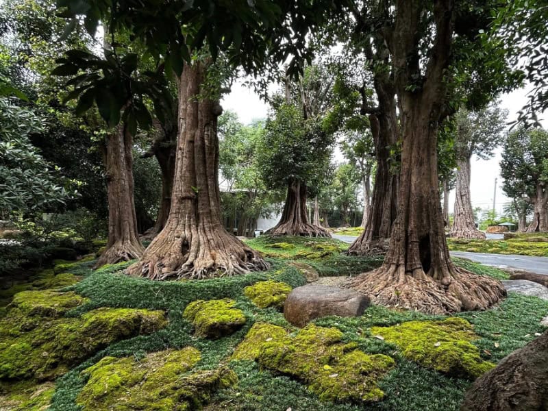 Changthong Heritage Park 2